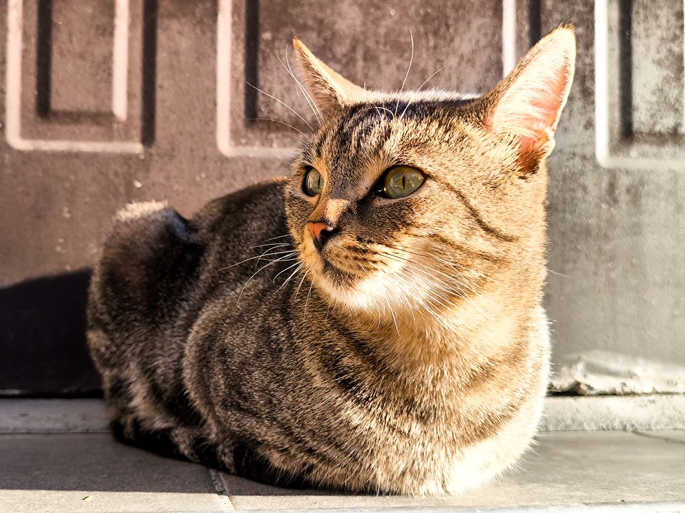 Photograph by Анастасия Толмачева