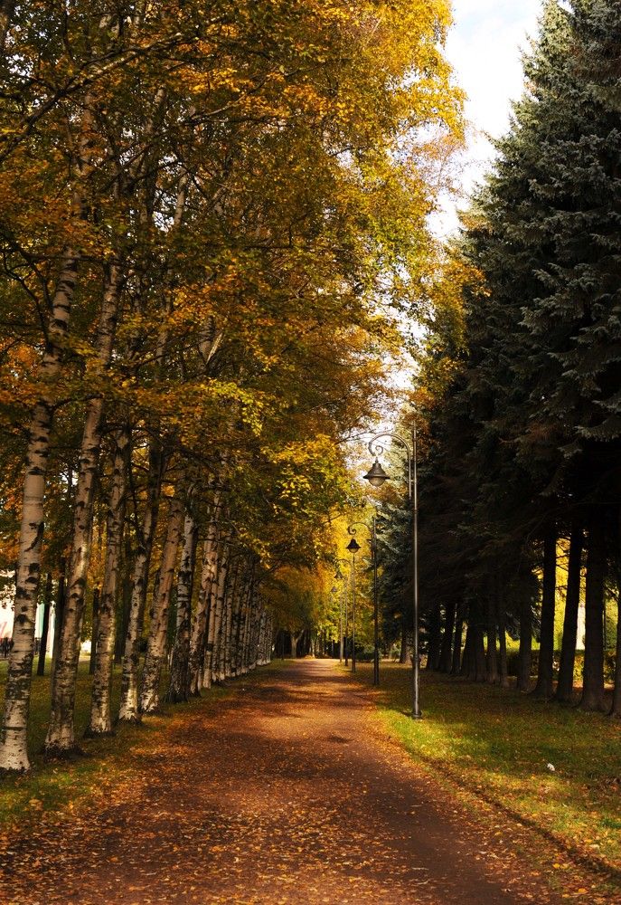 Photograph by Татьяна