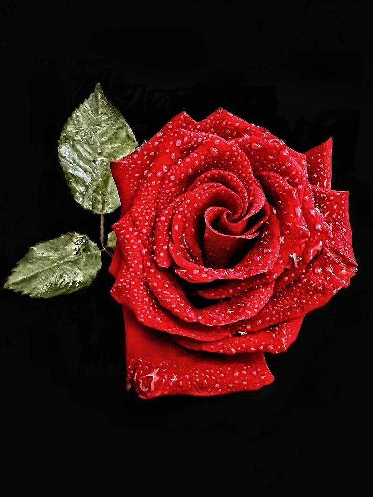 Photograph by Светлана Моисеева