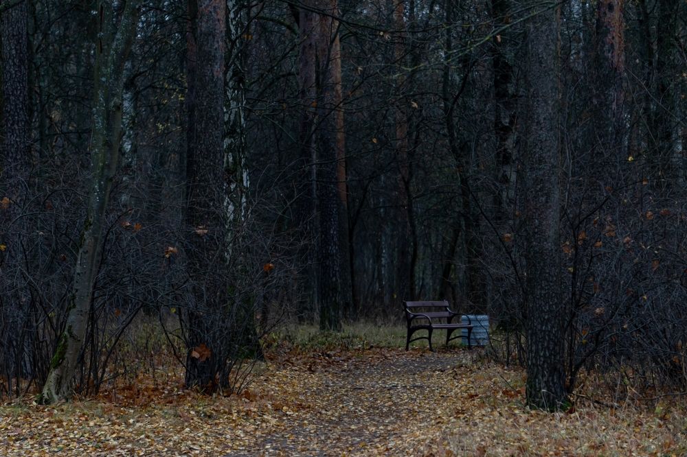Abandoned...