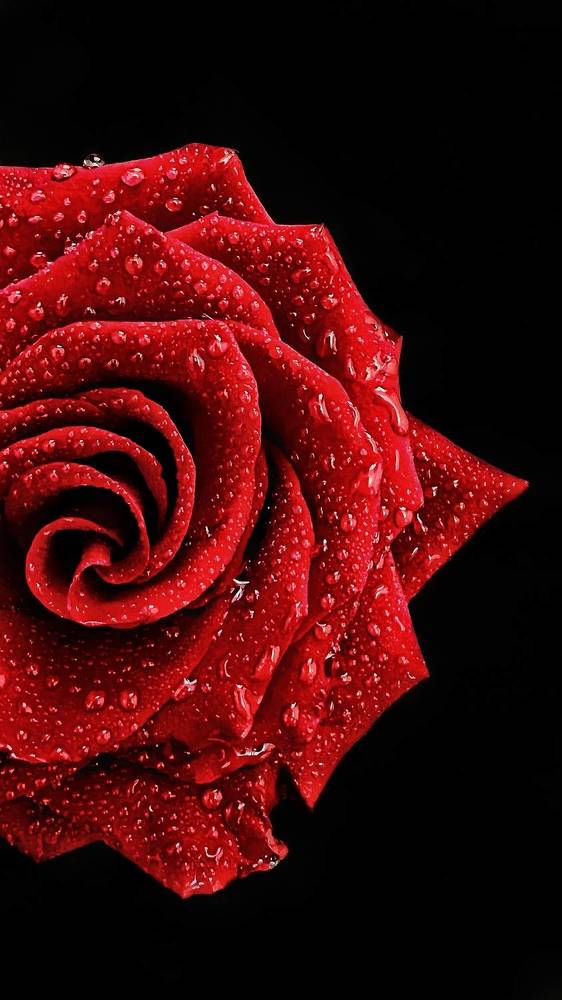 Photograph by Светлана Моисеева