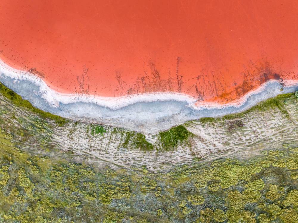 Photograph by Alex Parfenov