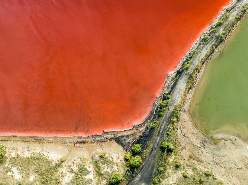 Photograph by Alex Parfenov