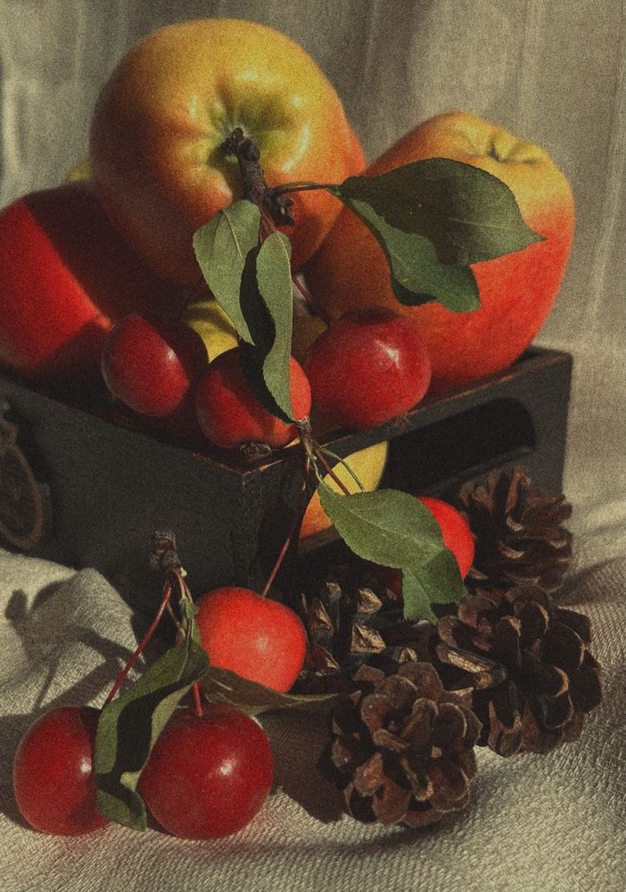 Photograph by Светлана Моисеева