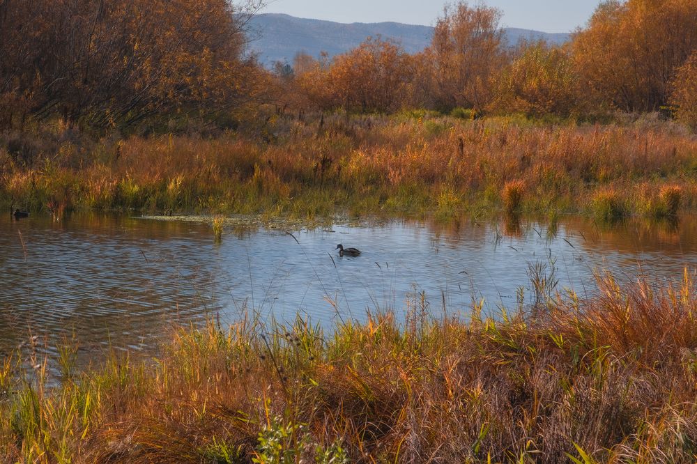 Photograph by Максим Куприянчик
