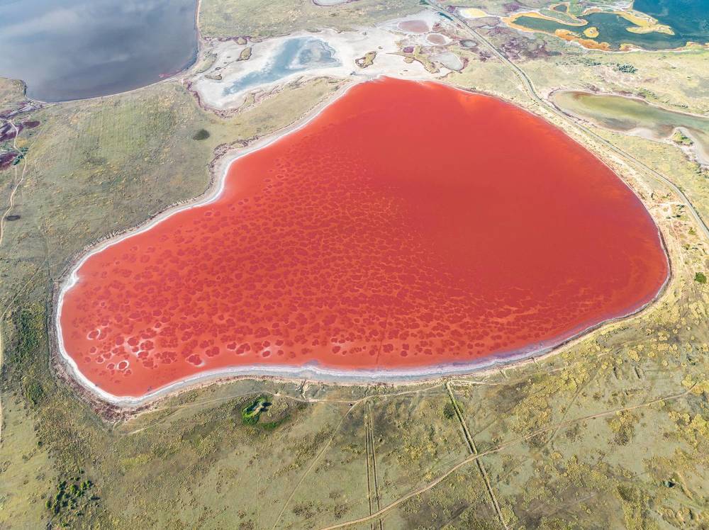 Photograph by Alex Parfenov