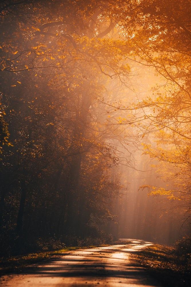 Photograph by Tomislav Safundžić