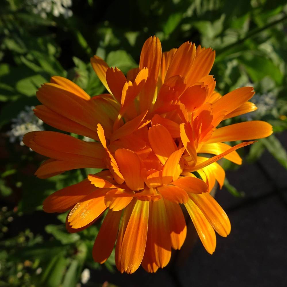 Photograph by Елизавета Маринен