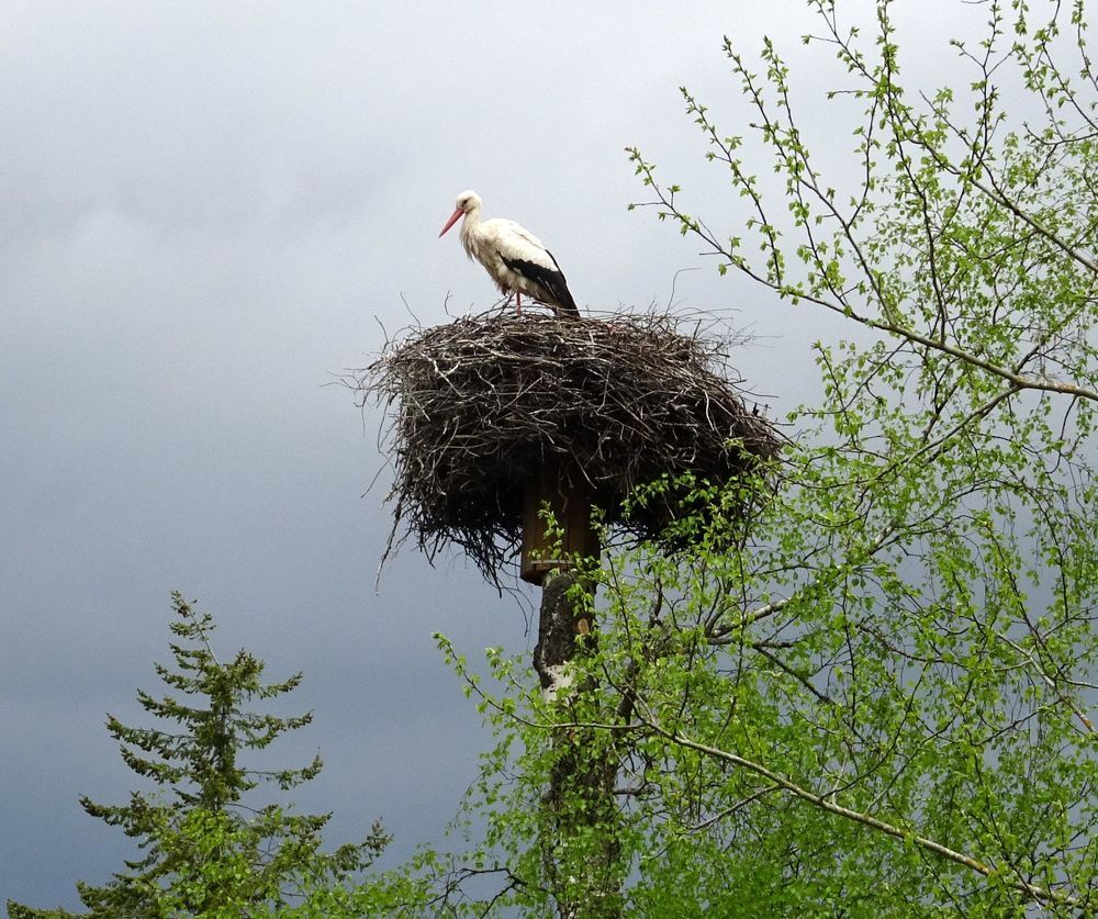 Photograph by Елизавета Маринен