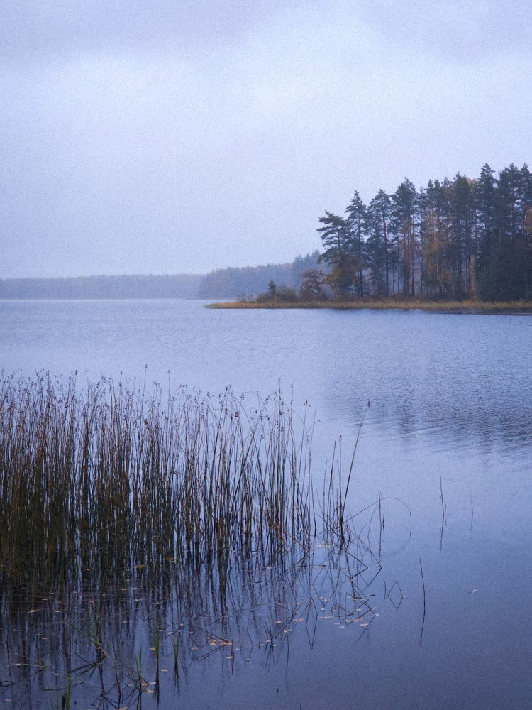 Безмолвие