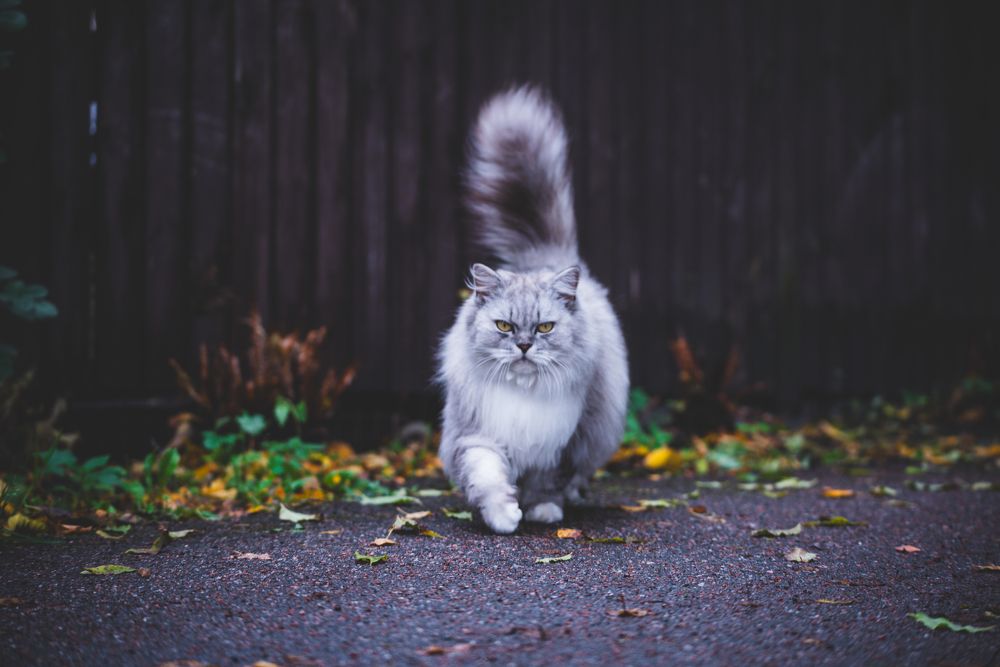 Photograph by Сергей Зимин