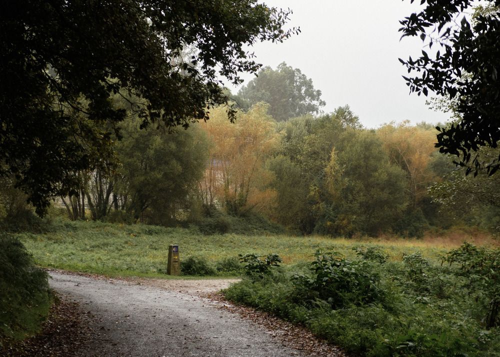 Photograph by Мария Головатских