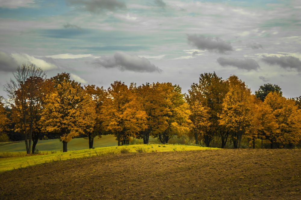 Photograph by Anna Suchcicka