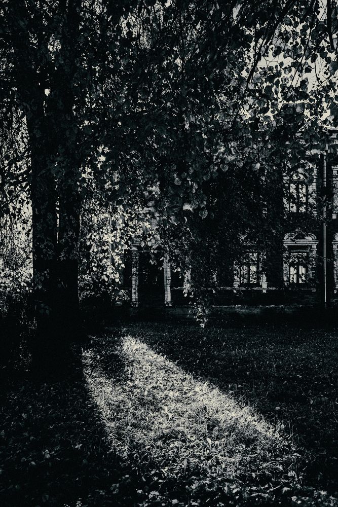 Photograph by Сергей Зимин