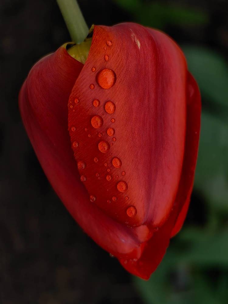 Фотография автора Ольга Панасюк