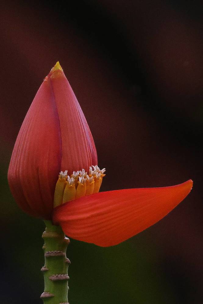 Фотография автора Suresh S S