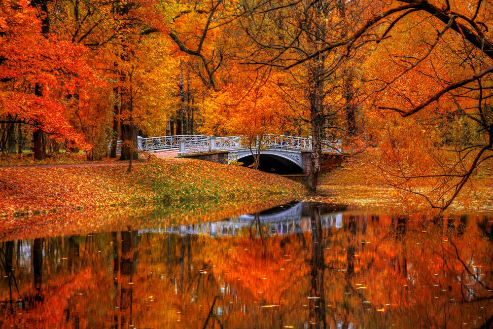 Photograph by Гордеев Эдуард