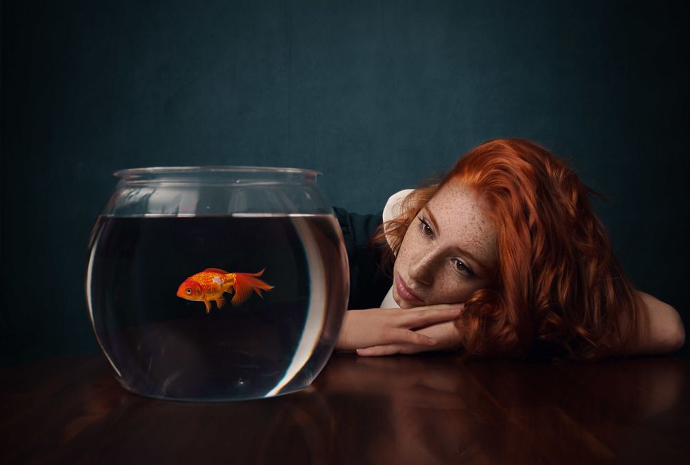 Фотография автора alexander forst