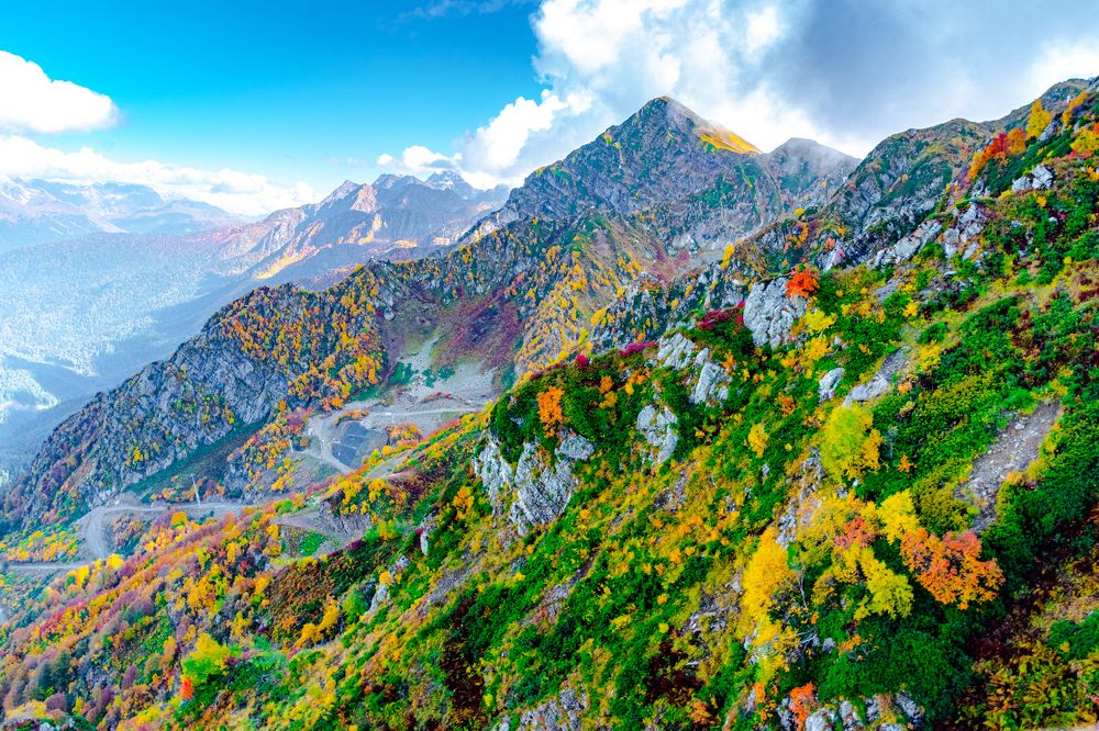 Фотография автора Юрий Баклыков