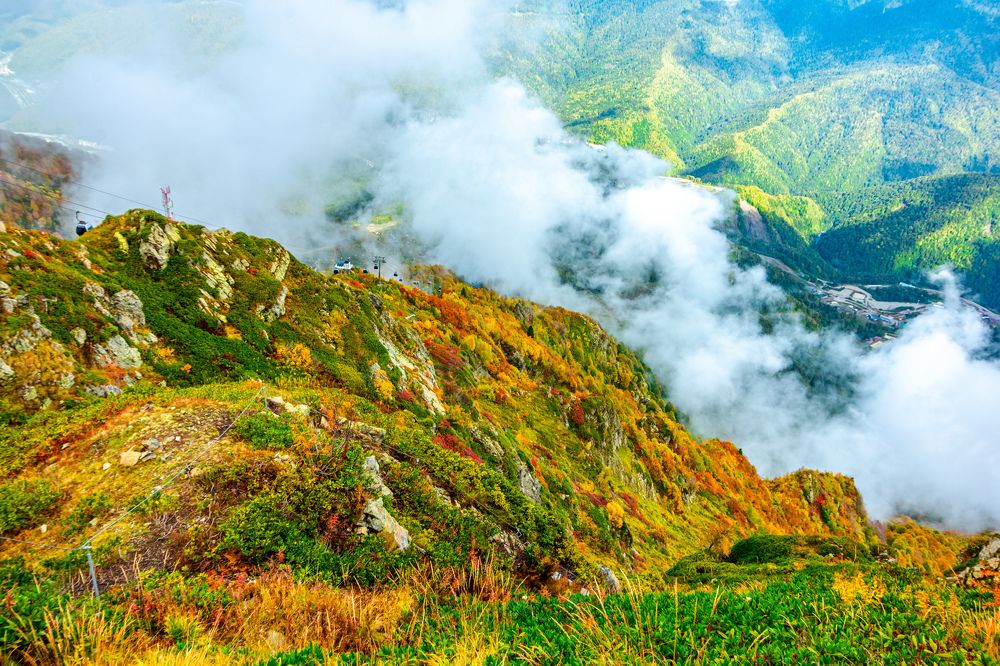 Фотография автора Юрий Баклыков