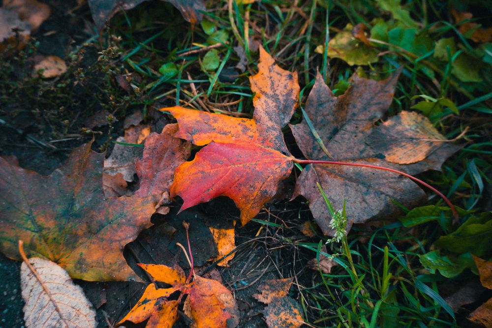 Photograph by Сергей Зимин