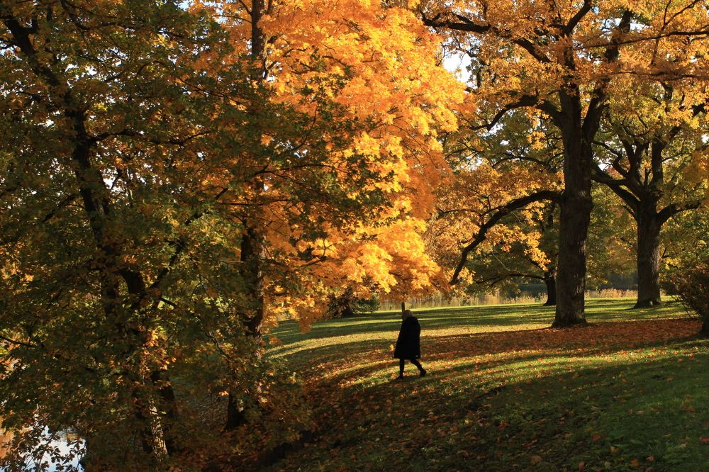 Нескучная осень