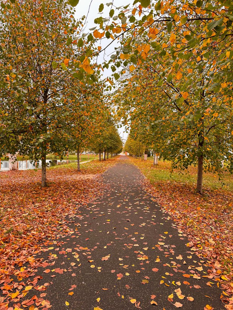 Photograph by Марина