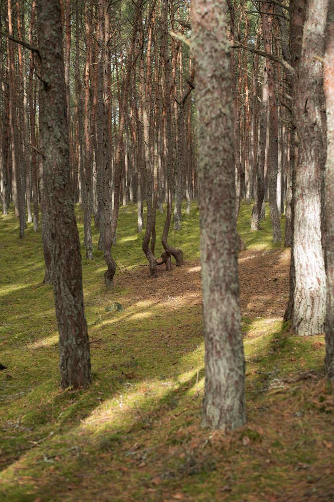 Photograph by Марина Шевцова