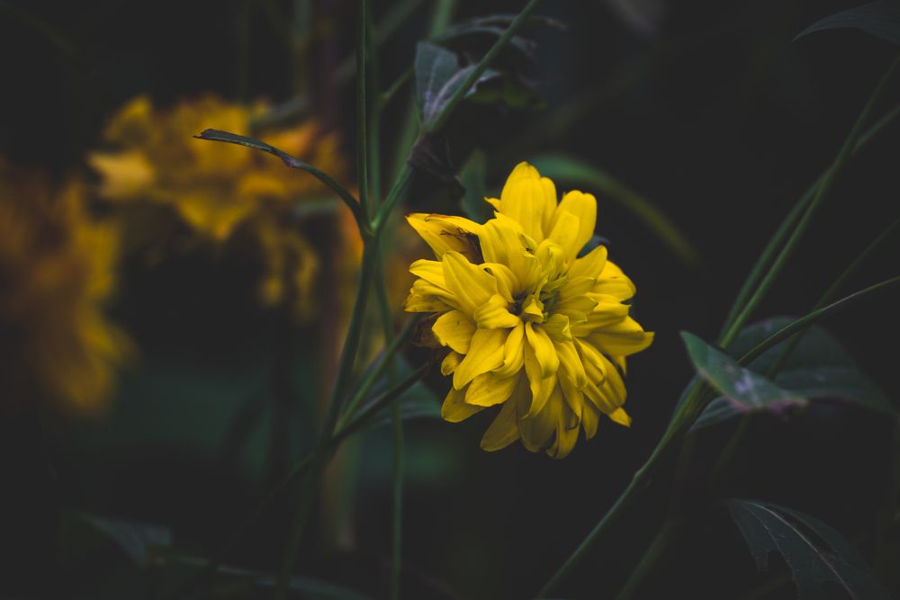 Photograph by Сергей Зимин