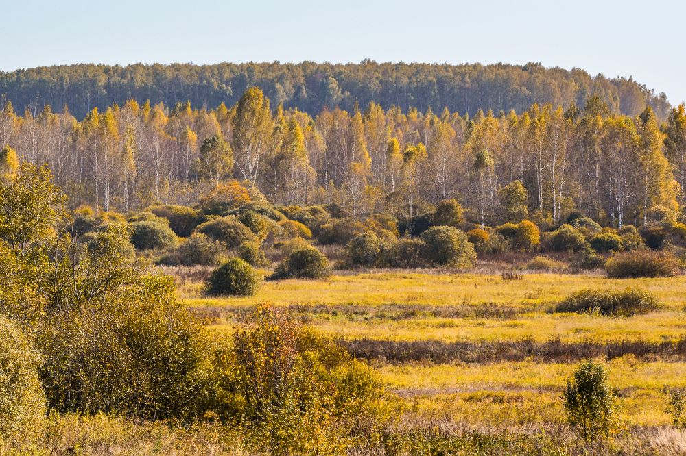 Photograph by Анастасия Гурова
