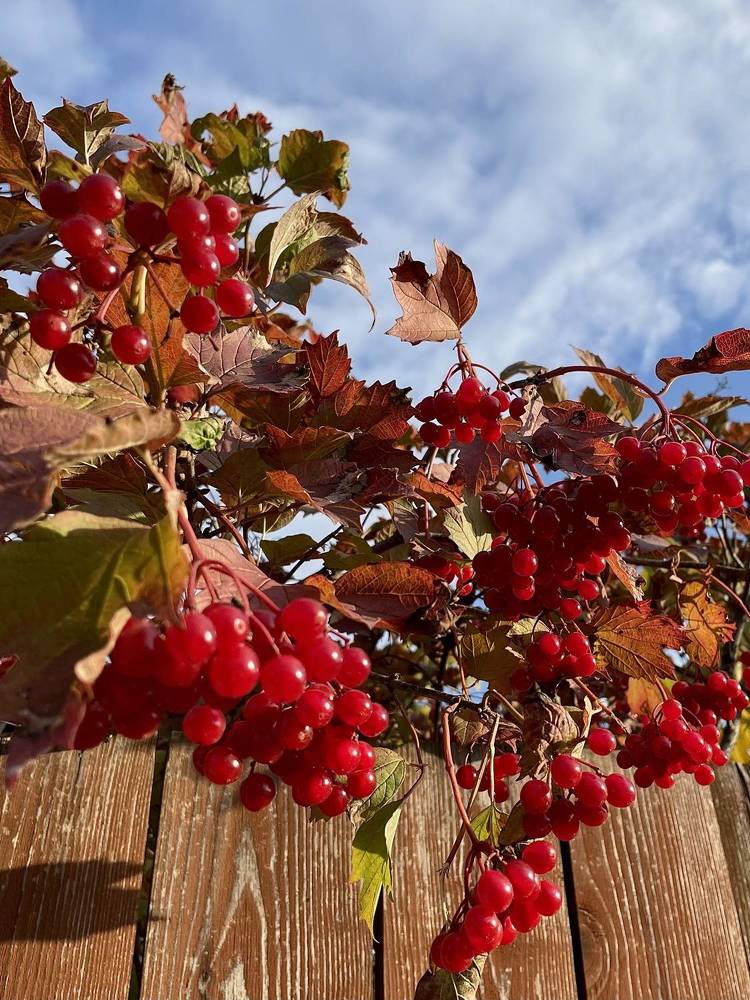 Photograph by Nadezda Yablokova