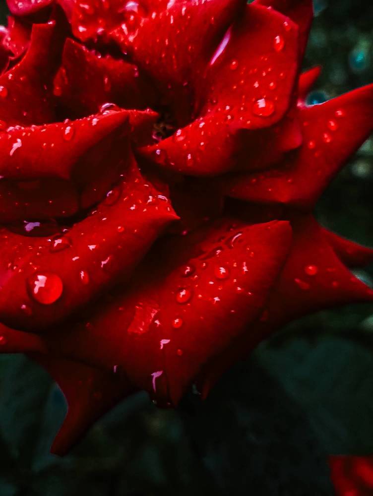 Photograph by Евгения Журавлева