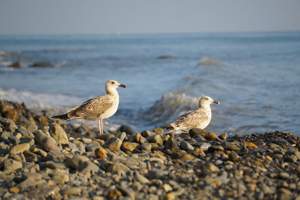 Photograph by Елизавета