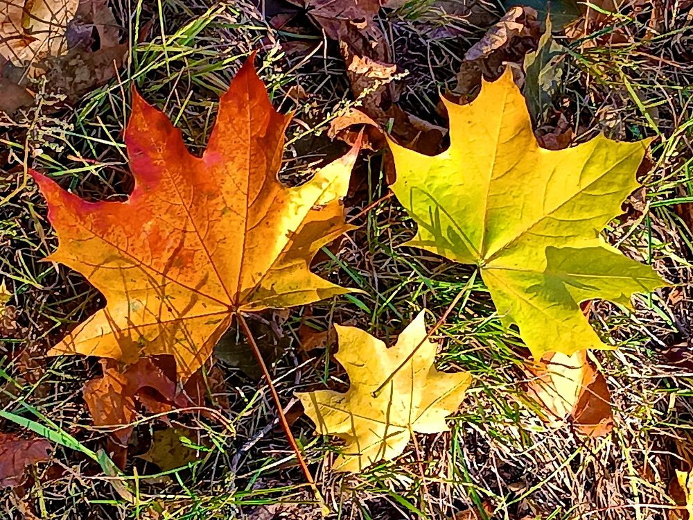 Photograph by Виталий Симоненков