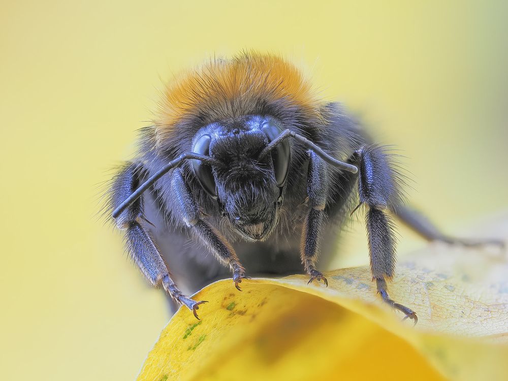 Photograph by Лукашук Евгений