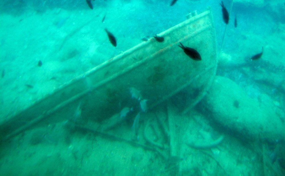 Photograph by Жанна Нечаева