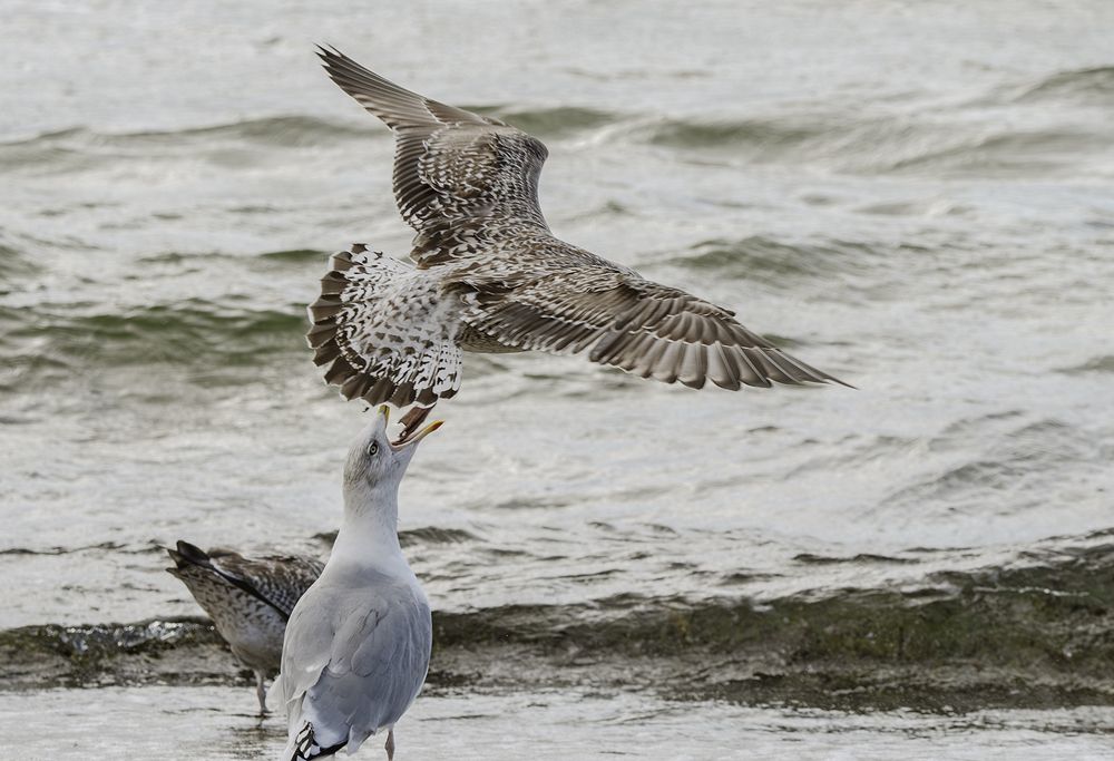 Фотография автора Mariusz Zarzycki