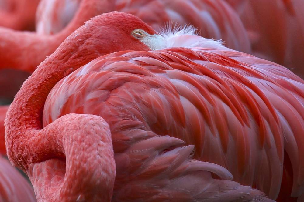 Photograph by Миронова Мила