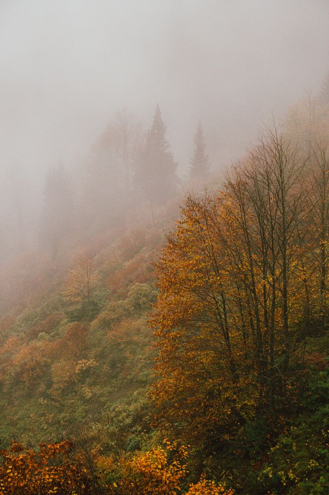 Photograph by Vadzim Darafei