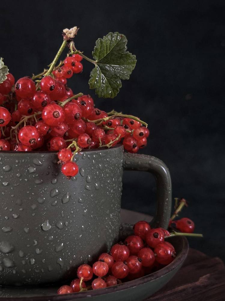 Photograph by Марина