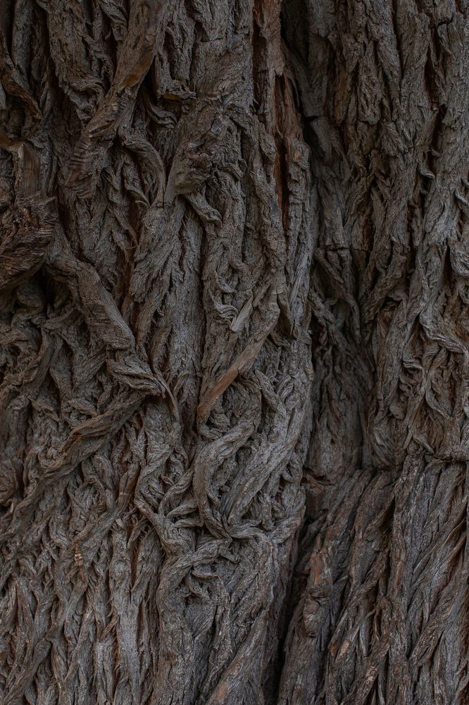 Photograph by Ксения Чумакова