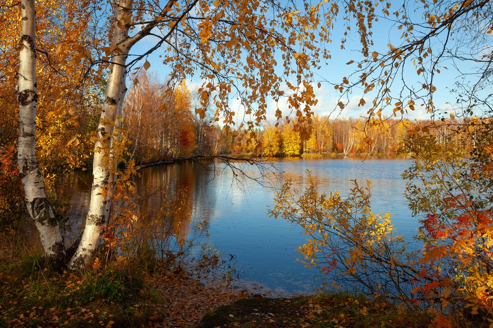 Photograph by Александр Кузнецов