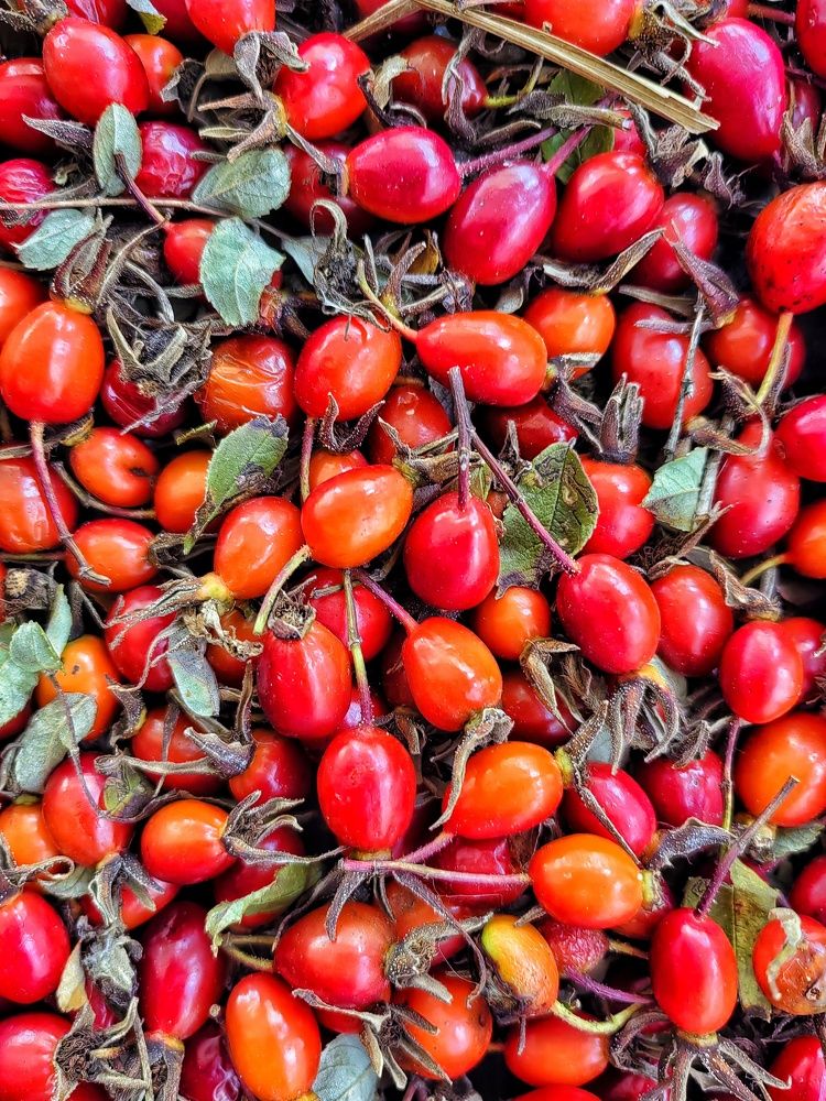 Фотография автора НАТАЛЬЯ СЕВЕР