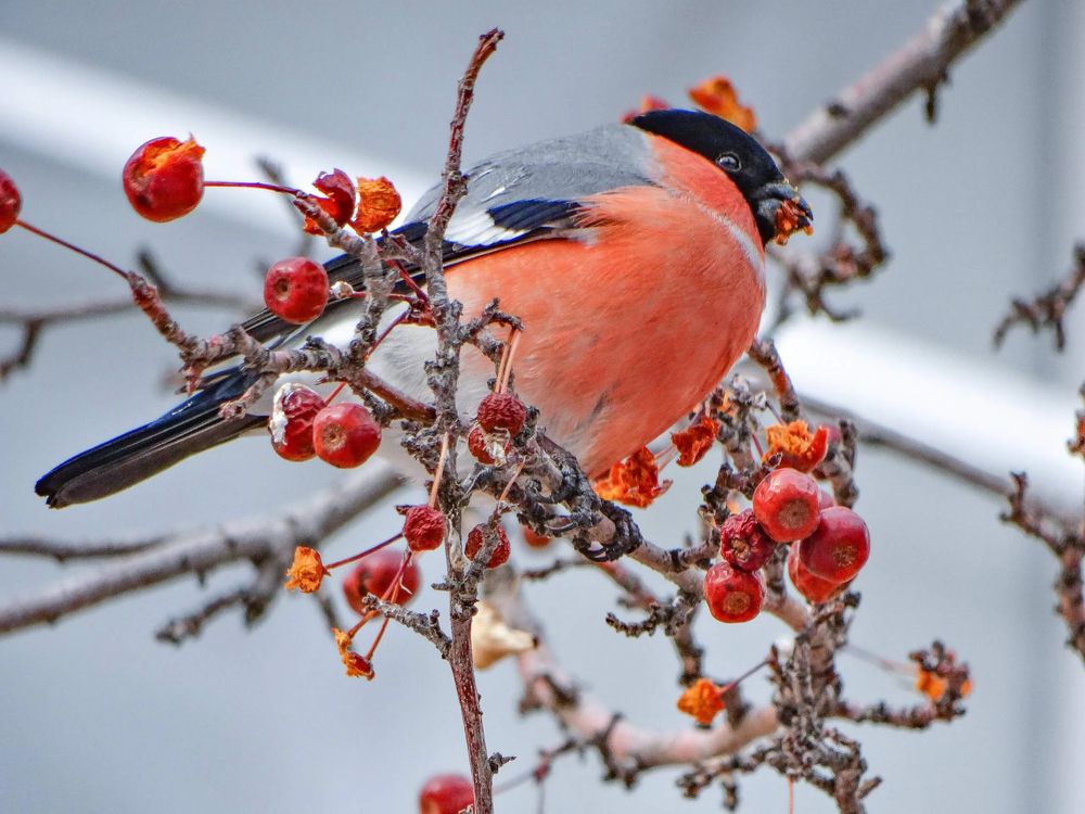 Photograph by Анжелика Трошина