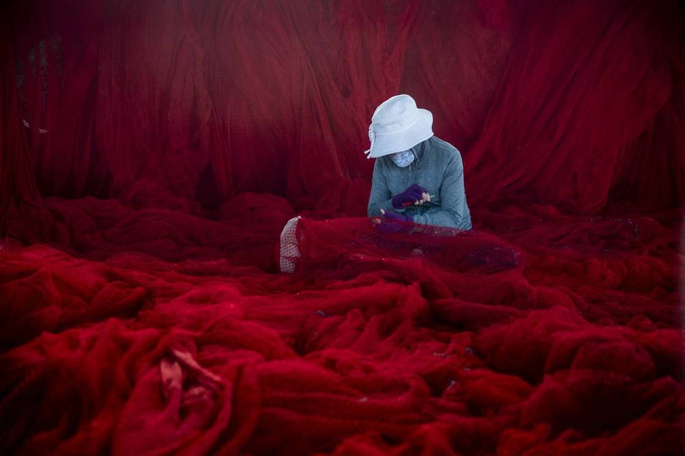 Photograph by Tuấn Nguyễn Tấn