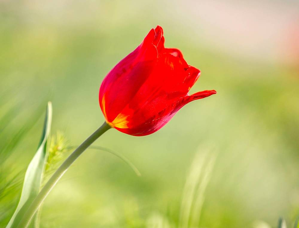 Фотография автора Людмила Прокофьева