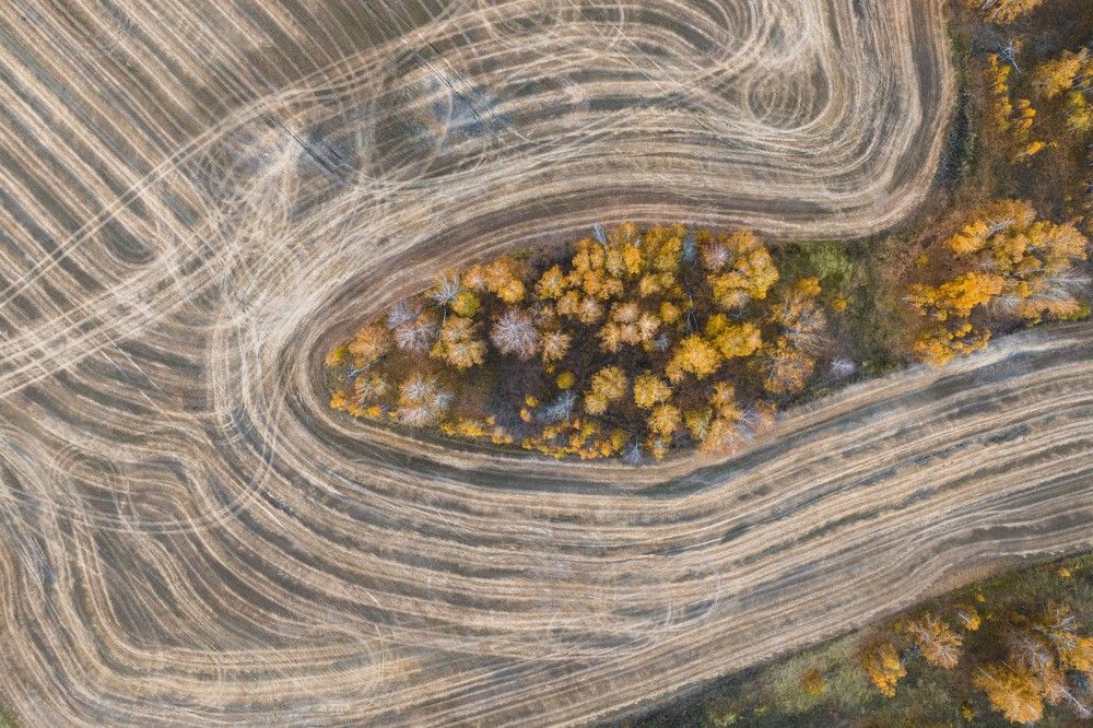 Photograph by Андрей Гусаров