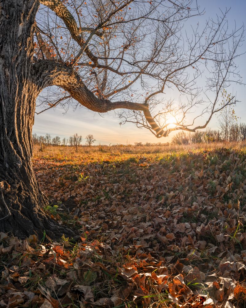 Photograph by Андрей Гусаров