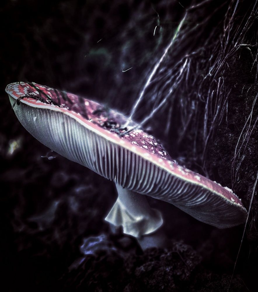 Photograph by Ольга Мартьянова