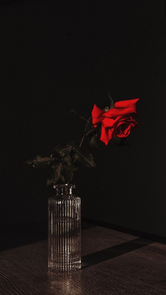 Photograph by Татьяна
